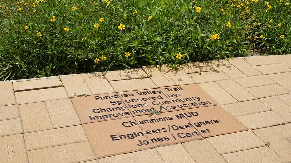 Trail Project 3~mv2.avif