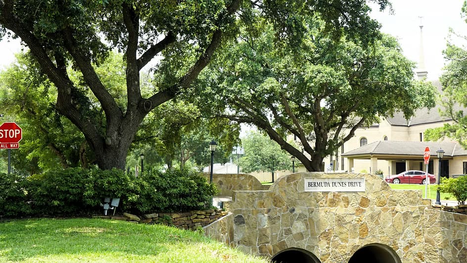 Trail Project 4~mv2.avif