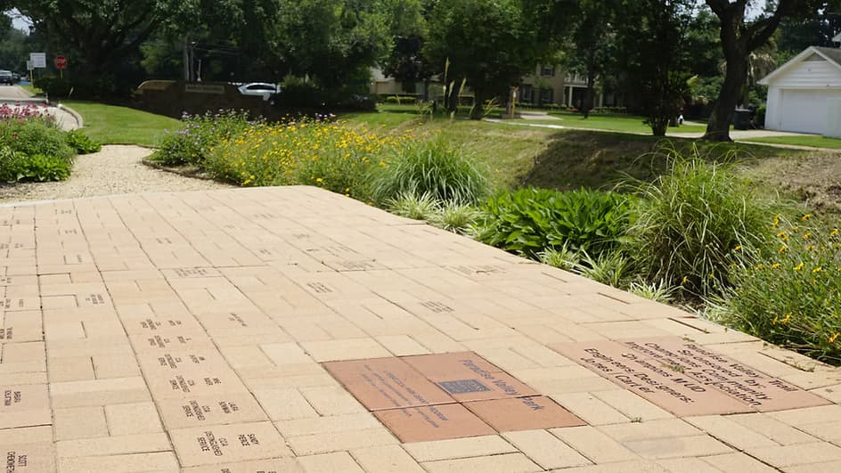 Trail Project 5~mv2.avif