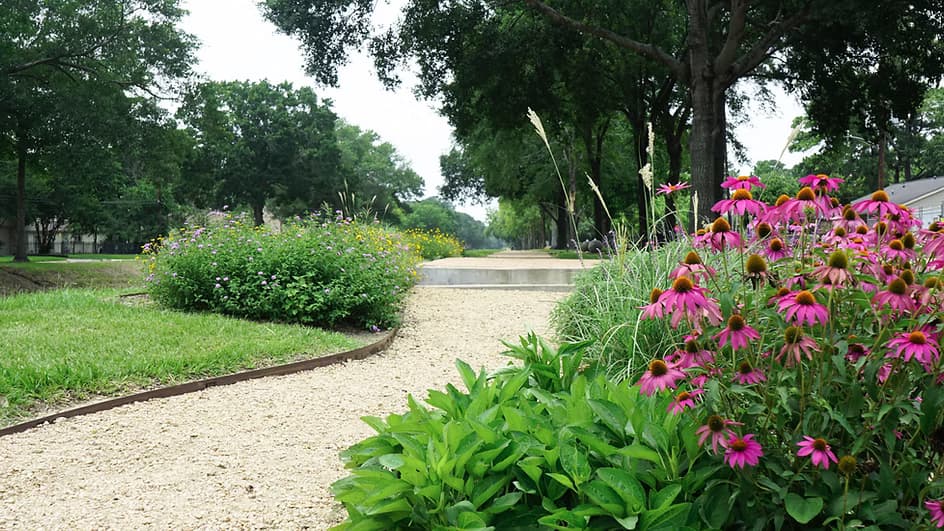 Trail Project 6~mv2.avif