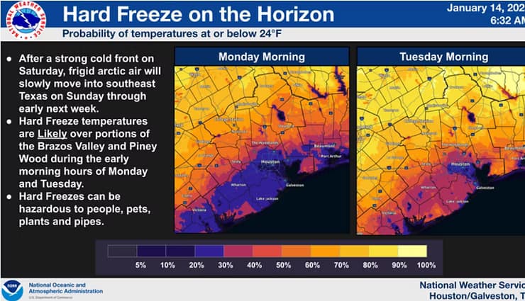 Hard Freeze.avif
