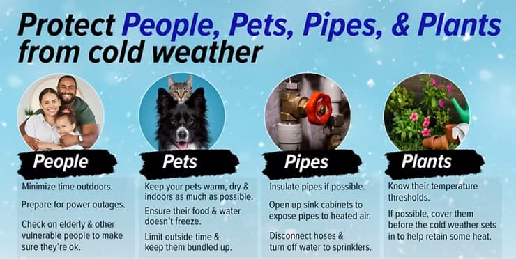 Pets.avif