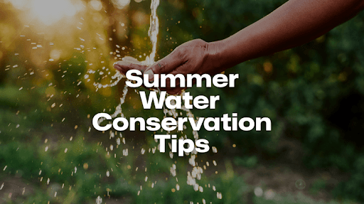 Summer Water Conservation 2025