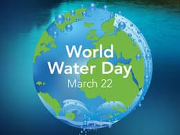 Water World Day.avif